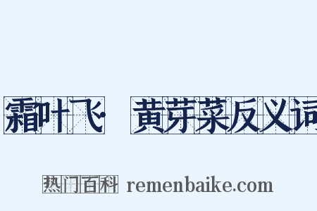 霜叶飞·黄芽菜反义词是什么意思的图片